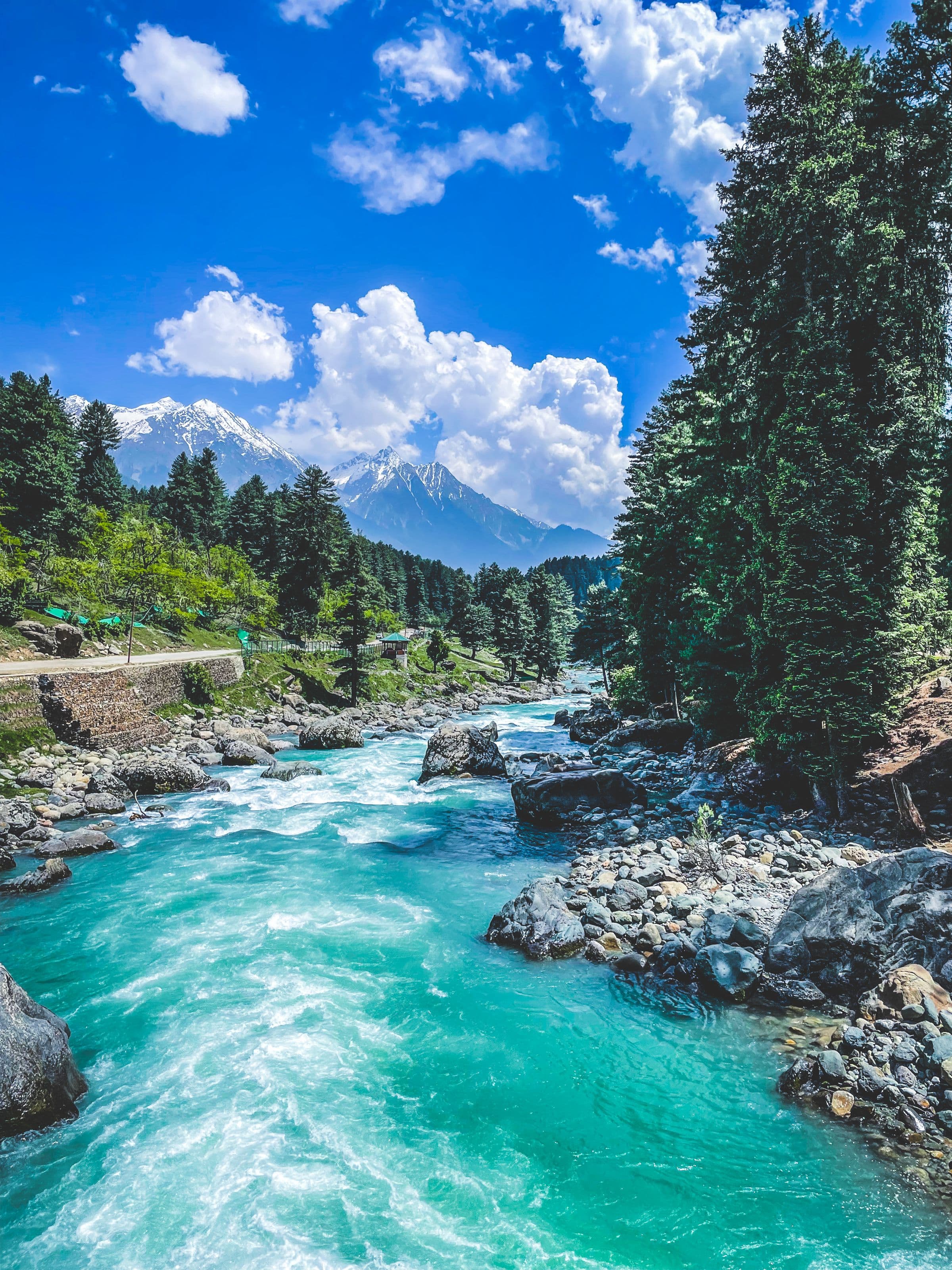 Lidder Turquoise