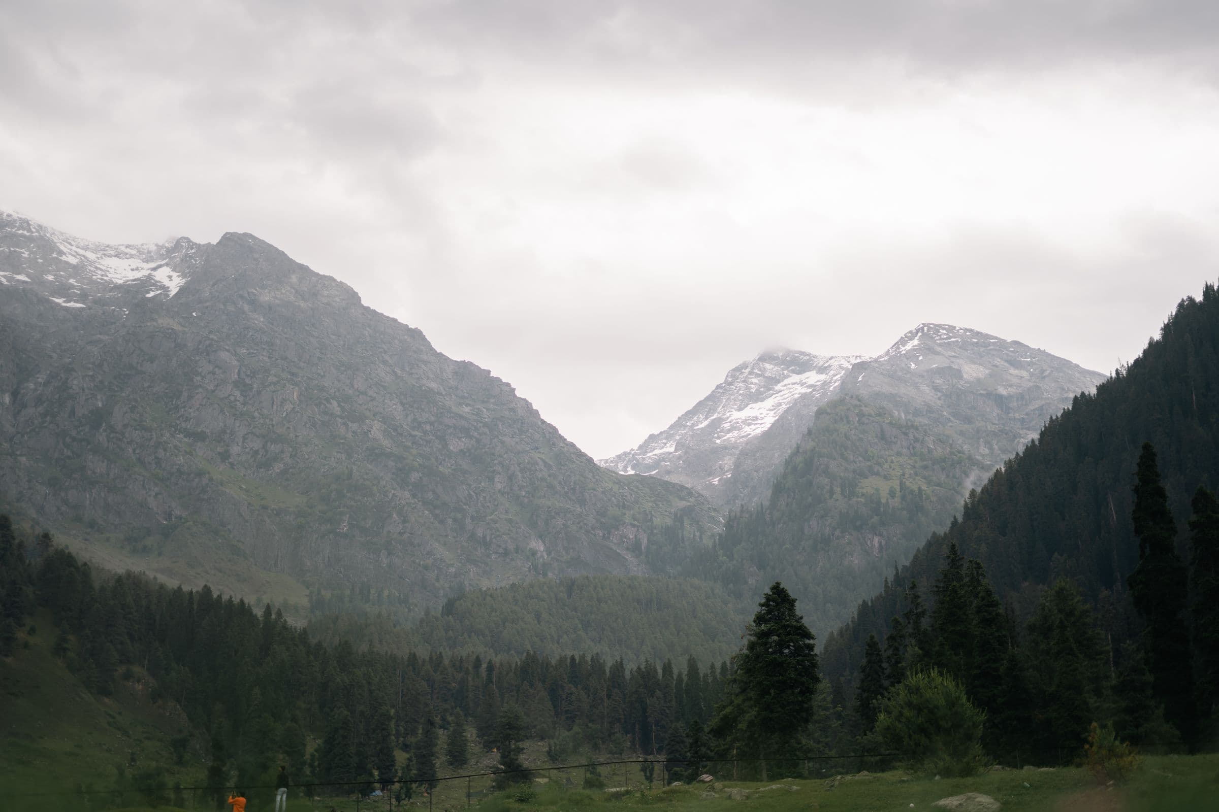 Snow-covered peaks above pine forest in Kashmir