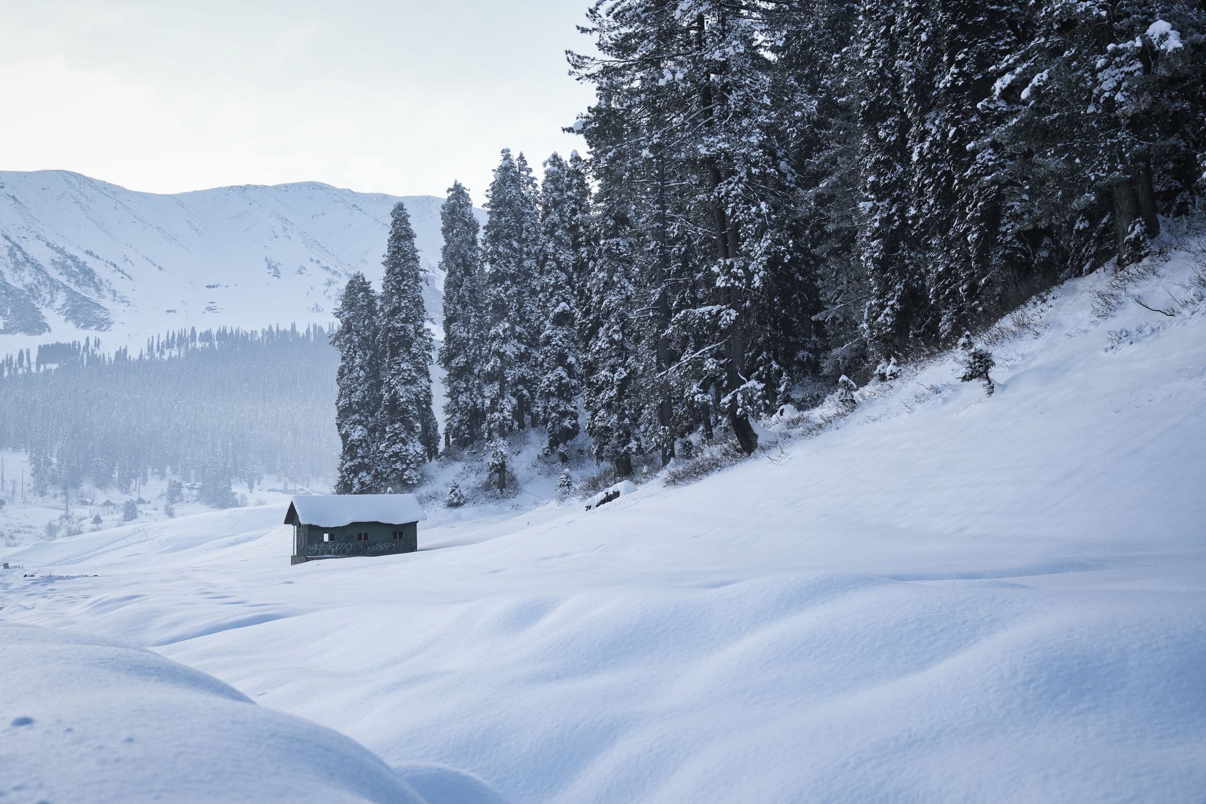 Snow Cabin Hill