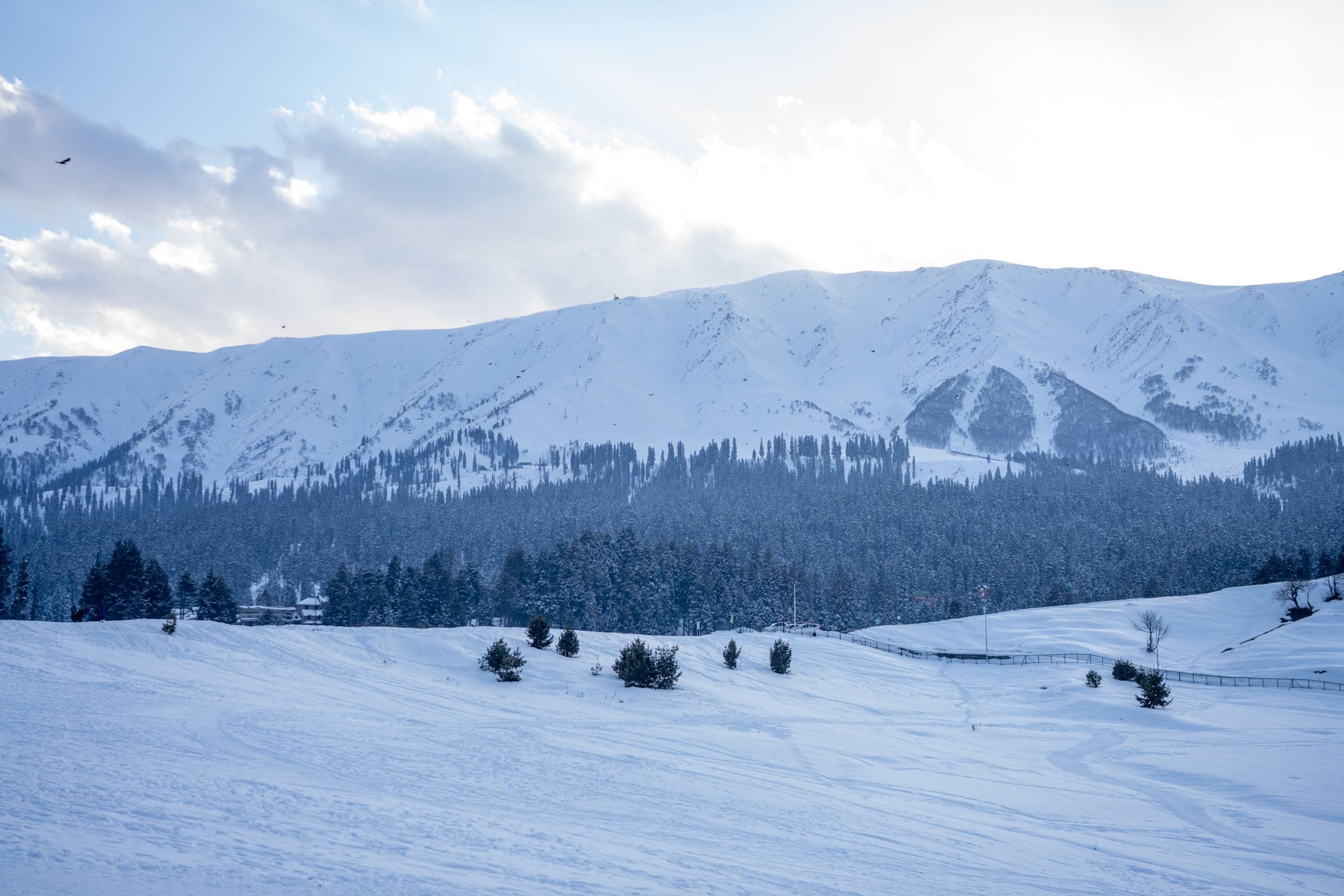 Snow Meadow Peaks